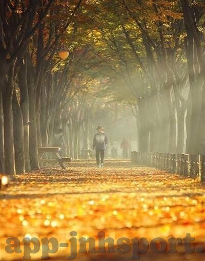 澳门赌场上线了-澳门赌场上线，虚拟世界的赌博盛宴